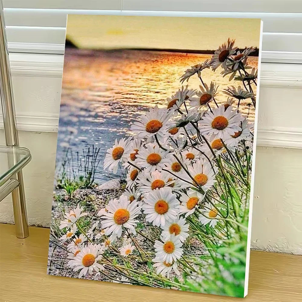 Canvas Paint By Numbers